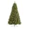 7.5ft. Pre-Lit Golden Tip Washington Pine & Pinecones Artificial Christmas Tree with Clear Lights